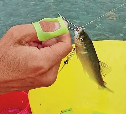 Fishing Buddy Singapore Accessories Sabiki Finger Dehooker 3 Fishing Buddy Singapore Accessories Sabiki Finger Dehooker