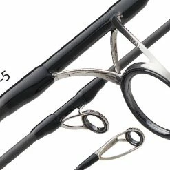 Graphiteleader Protone 2020