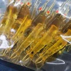 Fishing Buddy Singapore EBI Bait