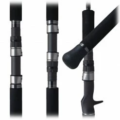 Rods Palms Sea Rapture