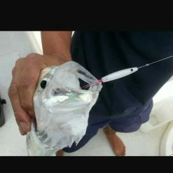 Lures Yamashita YUMIZUNO