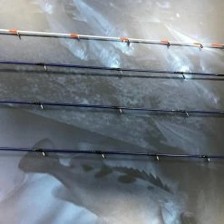 Daiwa Saltiga SF Rods