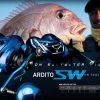 Fishing Buddy Singapore Daiwa Reels Daiwa ARDITO SW TWS