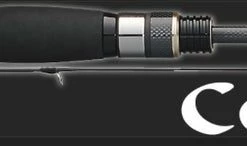 Graphiteleader 2020 Corto UX