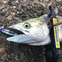 Vanfook Deco Twin Assist DT-30 Terminal Tackle