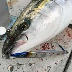 Vanfook Spear Hook SH-20 Terminal Tackle 9 Vanfook Spear Hook SH-20 Terminal Tackle