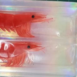 Fishing Buddy Singapore Lures Soft Bait - REAL EBI 90mm