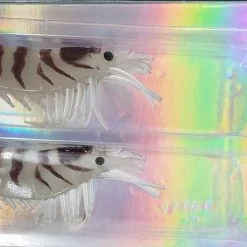 Fishing Buddy Singapore Lures Soft Bait - REAL EBI 90mm