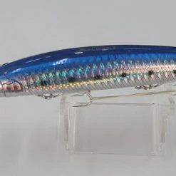 Fishing Buddy Sea Contact Dive Sardine