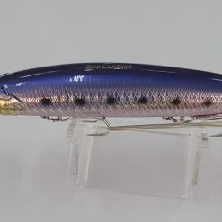 Fishing Buddy Sea Contact Dive Sardine