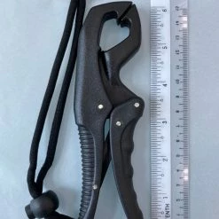 Fishing Buddy Singapore 6