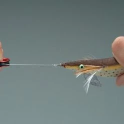 Daiichi Seiko Tightening Ring AL #25