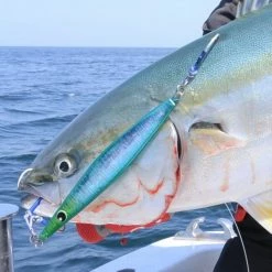 Vanfook Jigen Rear Assist Grippy GR-71