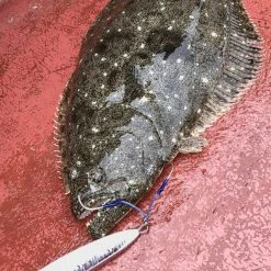 Terminal Tackle Vanfook Jigen Hyper Twin Hook JHT-55