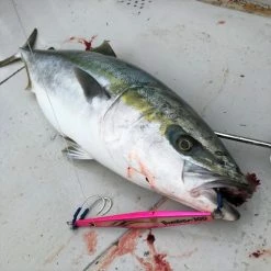 Terminal Tackle Vanfook Jigen Hyper JH-30