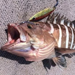 Terminal Tackle Vanfook Jigen Long Twin JLT-46