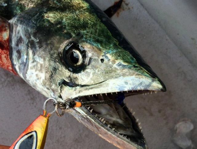 Terminal Tackle Vanfook Jigen Hyper Wire Assist JWS-51 4 Terminal Tackle Vanfook Jigen Hyper Wire Assist JWS-51