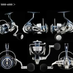 Fishing Buddy Singapore DAIWA CERTATE SW