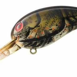 Lures Daiwa Wild Peanut Crankbait