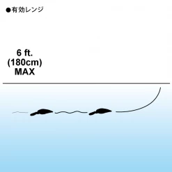 Duel 3DB SHAD (SP) 70mm [R1104] Lures