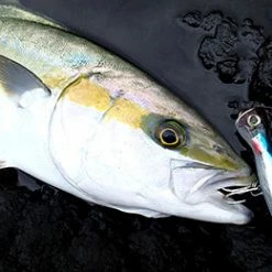 Lures Duel Lure - HARDCORE® BULLET Bull 130mm/160mm