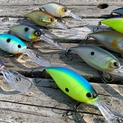 Fishing Buddy Singapore Duel HARDCORE® BULLET CRANK7+ 100F