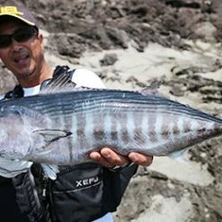 Duel Lure - Hardcore Monster Shot 80mm [1207] / 95mm [F1196] / 125mm [F1197] Lures