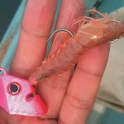 Fishing Buddy Singapore Stand Tenya Jigs