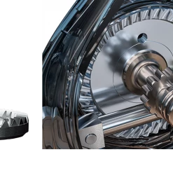 Daiwa Luvias LT 2020 Reels