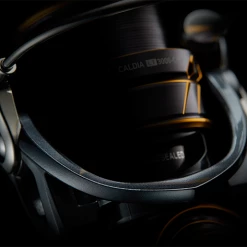 Daiwa CALDIA LT 2021 Reels